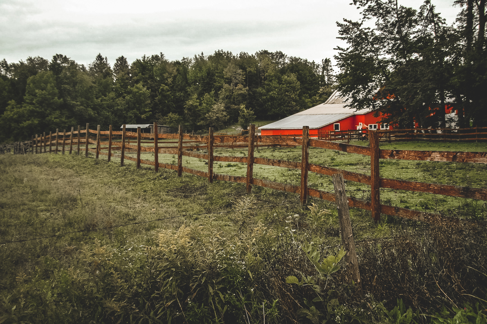 Quoi faire dans le Canton de Bedford BromeMissisquoi