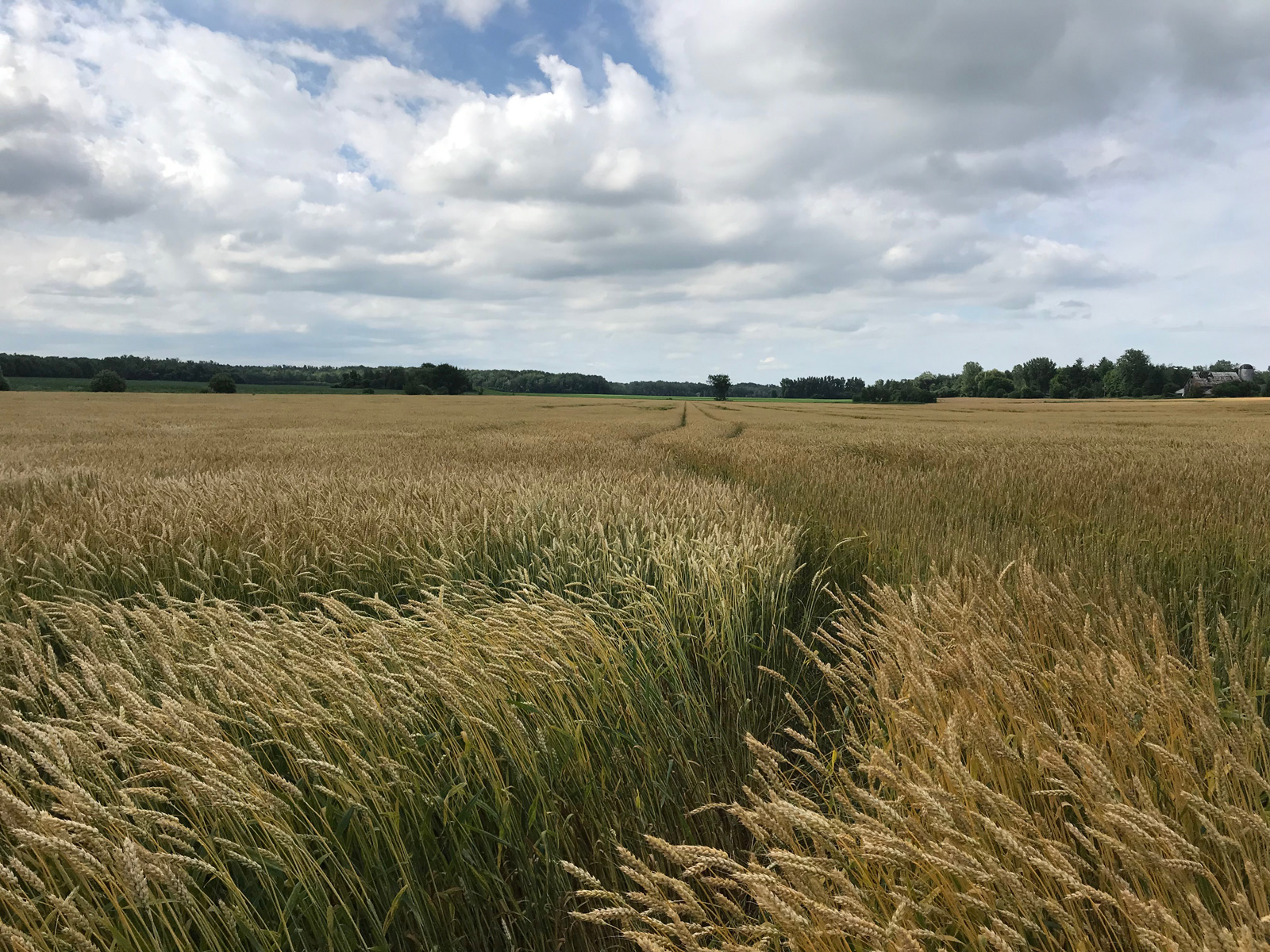 Quoi faire à Stanbridge Station Cantonsdel’Est