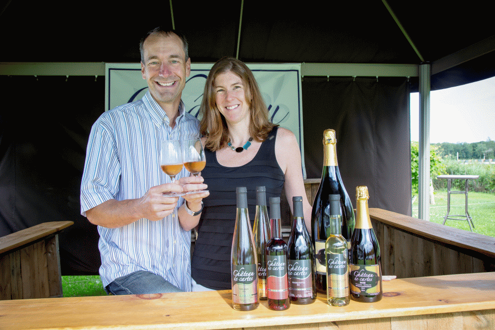 Chateau De Cartes Vignoble Et Cidrerie A Must Stop Place For Aficionados That Enjoy A Variety Of Wines Brome Missisquoi