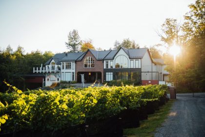 Le Vignoble du Ruisseau