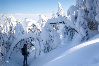 Parc d'environnement naturel de Sutton