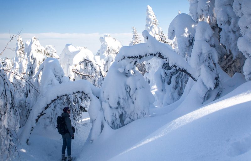Parc d'environnement naturel de Sutton
