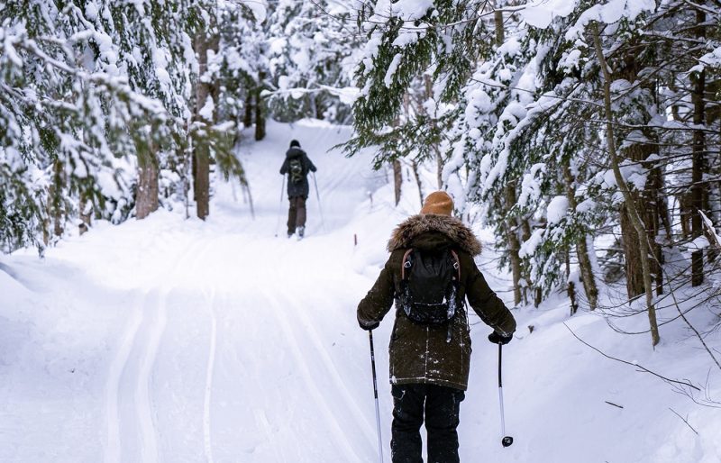 PLEIN AIR SUTTON / MTB - ski de fond et raquette