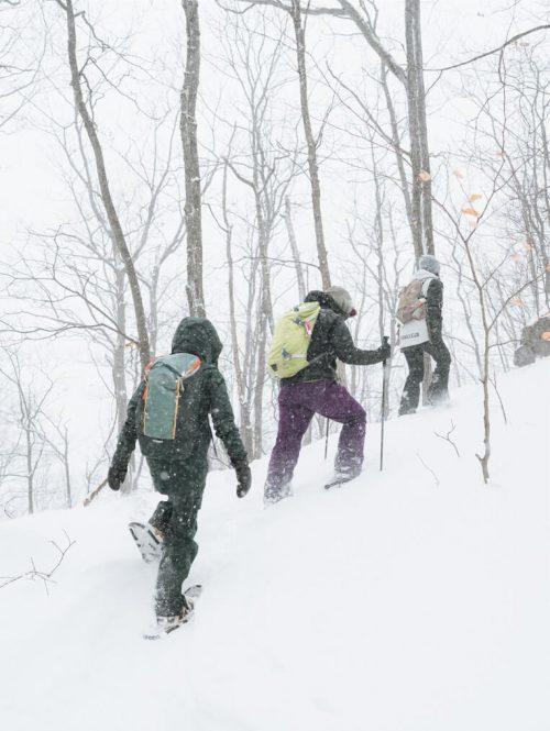 parc_des_sommet_alyssongallant_web