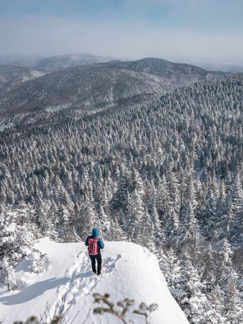 parc_des_sommet_alyssongallant_web_vertical