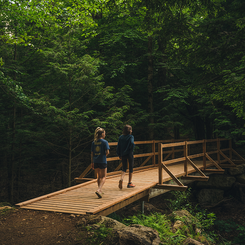 mont_gale_Alysson Gendron-Gallant