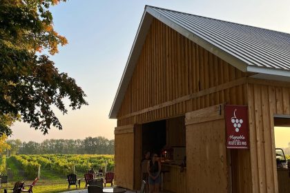 Vignoble Le Di-Vin